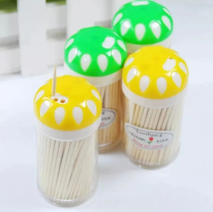 Disposable Eco Bamboo Toothpicks