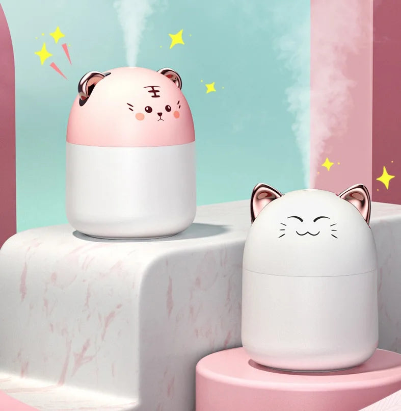 Character Humidifier