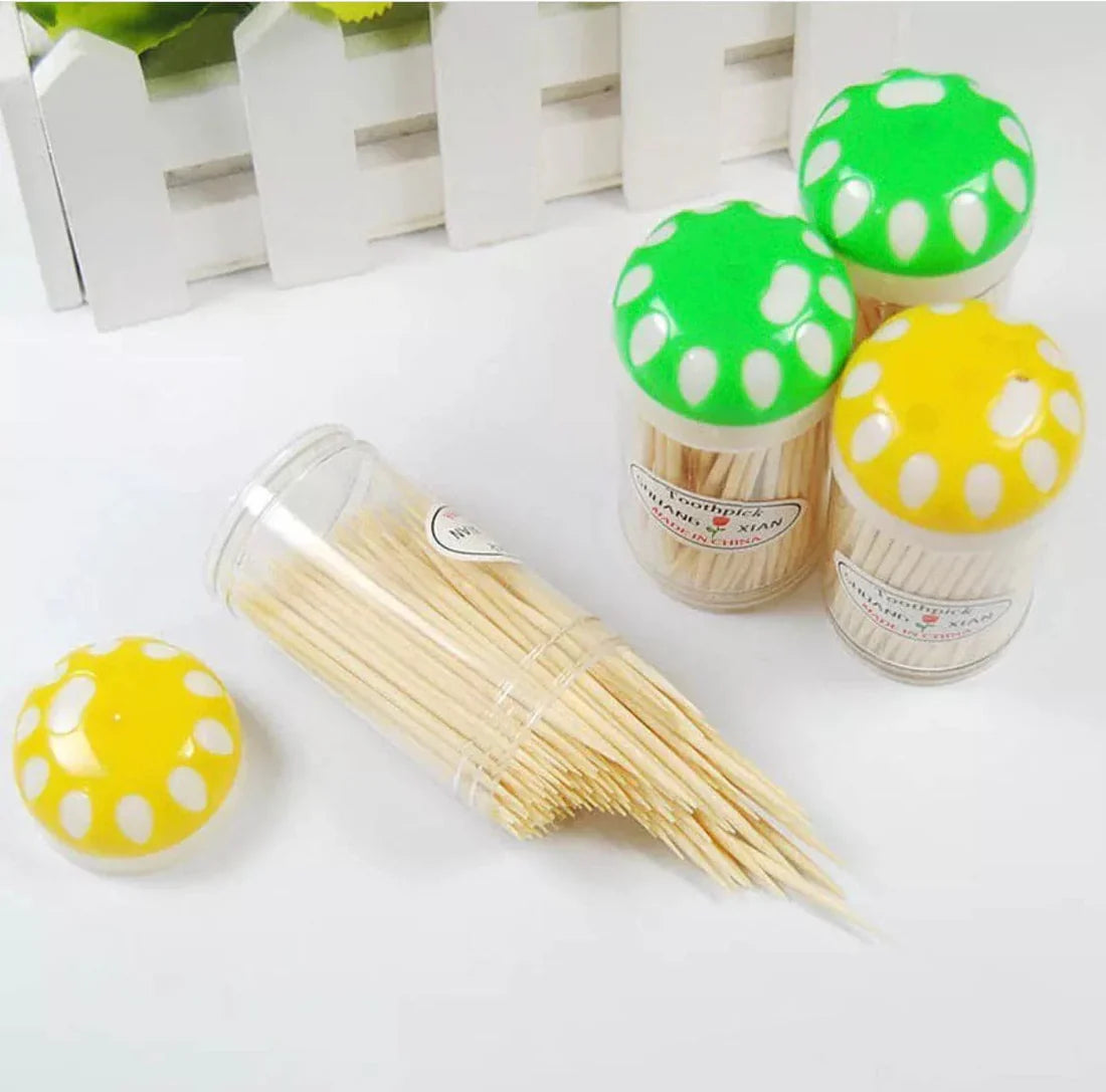 Disposable Eco Bamboo Toothpicks